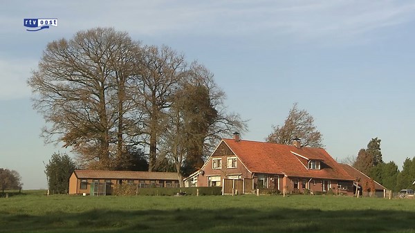 9.1K views · 615 reactions | The Van Langen brothers (De Lutte, NL),...