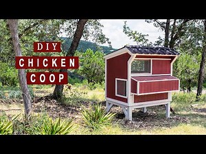 Build the Perfect Backyard Chicken Coop