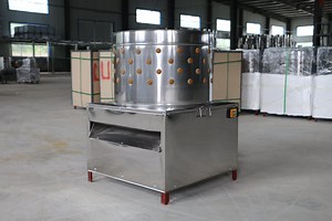 [Hot Item] Commercial Chicken Plucker Machine/Poultry Defeather Equipment/Automatic Chicken Slaughtering Machine