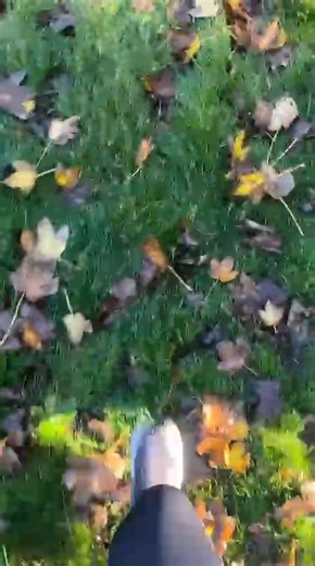 🏃‍♀️Vasek smashed Day 8 of 30 half marathons in 30 days — starting solo and finishing surrounded by hundreds. We’re so proud to have him representing The EEF! 💜✨💫 #30in30 #EllisEdwardsFoundation #parkrun #Dorset | Ellisedwardsfoundation