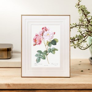 Vintage Botanical Print, Digital Wall Art Print, Floral, Antique Flowers, Rosebush, Damascena, Les Roses - Etsy
