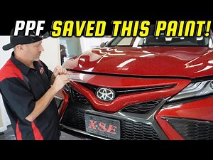 Paint Protection Film Saved This Car's Paint - PPF Removal Tutorial