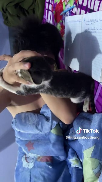 👍🏼🐱#cat #fpy