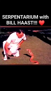 267K views · 2.4K reactions | FLASHBACK to BILL HAAST and the MIAMI SERPENTARIUM!!!! Who Else LOVED THIS REAL LIFE HERO!???! ❤️ #flashbacksouthflorida Part 1 | Flashback South Florida - Memories and Memorabilia | Facebook