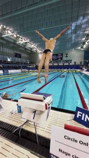 127K views · 416 reactions | How your first dive in the pool on a Monday could look like 來 #swimming | World Aquatics | Facebook