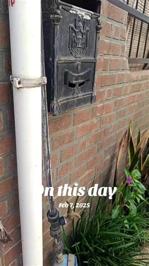 Historical Events on February 7