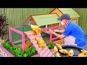 Harvest Eggs & Veggies at Home | DIY Chicken Coop, Duck House & Pigeon Cage Builds