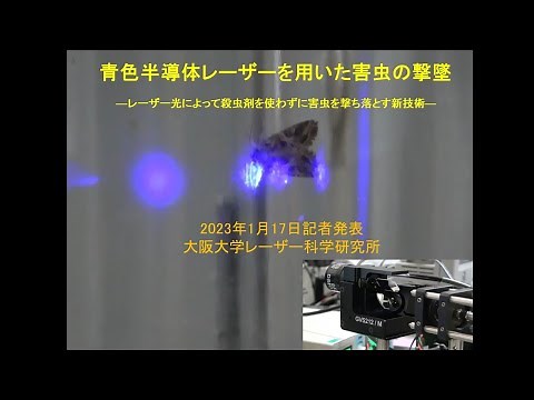 青色半導体レーザーを用いた害虫の撃墜 ―レーザー光によって殺虫剤を使わずに害虫を撃ち落とす新技術―