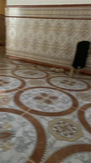 Stylish Circular Tile Floor Design for Indoor Spaces