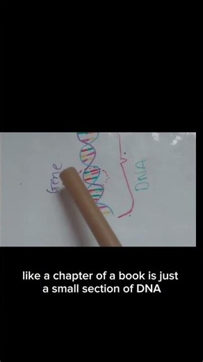 DNA vs Gene (Easy Marks) | Life Sciences Grade 12 🧬 #education #matrics