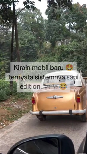 caknar (@cak_n4r)’s videos with Sound effect ketawa Hah ngakak - SMK ANMA