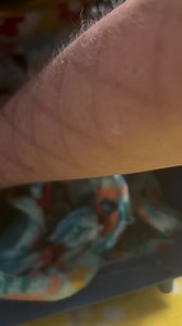 10K views · 957 reactions | Havoc can’t open a nut yet. This isn’t...