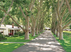 Historic Hotels of America