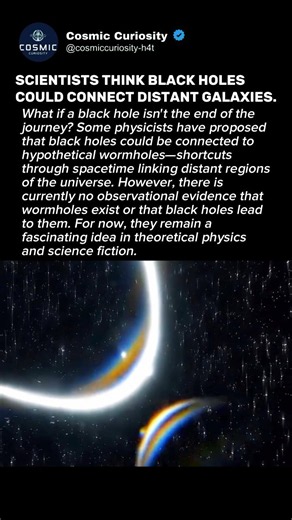 Are Black Holes Secret Gateways?