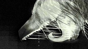 SCP-682 : Протокол экспериментов. (Часть 1)