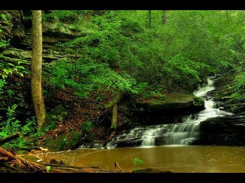 “Nature Therapy” by DreamScapeAI #dreamscapeai #nature #aidream