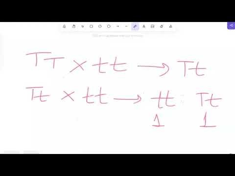 Principles of inheritance & variation main video #neetbiology #mscbotany #csirnet 