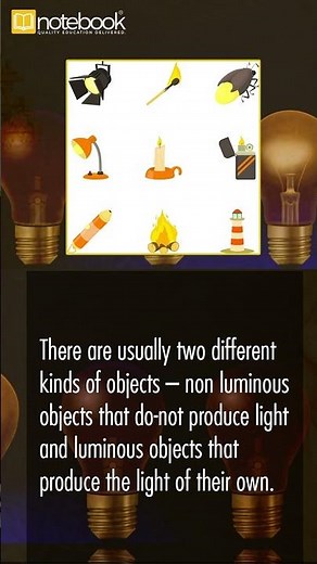 CBSE Class 8 Science – Chapter Light | Learn with Notebook for Fun & Easy Learning!
