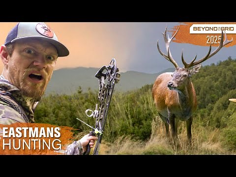 3 Red Stags in 3 days! Bow Hunting New Zealand | Beyond the Grid Eastmans'