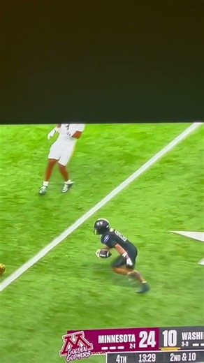 Minnesota U vs Washington Huskies receiver Roebuck with a incredible one handed catch #ncaa