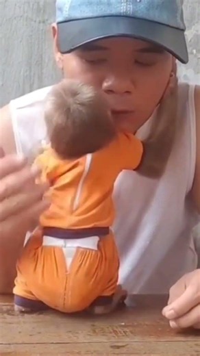 Cubin chú khỉ con tình cảm nhất đã xuất hiện cưng muốn xỉu