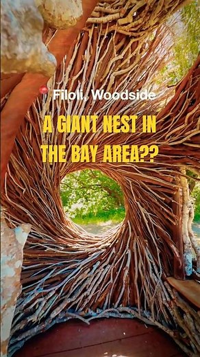Ever wanted to climb inside a giant nest? 🪺 #bayarea #sanfranciscopeninsula #filoli #california
