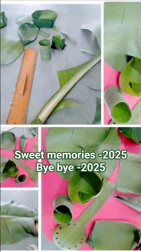 #Sweet memories 2025#school activity