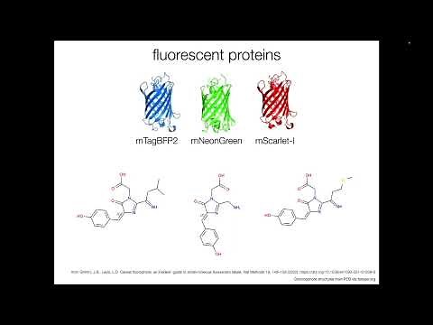 Fluorophore Types & Labeling Methods