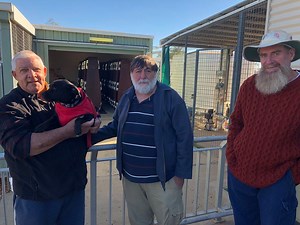 102K views · 337 reactions | Meet Ormie, Tommy and Woody. They decided to set up their own funeral service and build their own morgue which includes a fridge borrowed from their local Lion's Park. #backroads #nsw | ABC Australia | Facebook