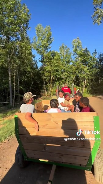 Explore Piney Park: Family Fun in Marshall, Texas