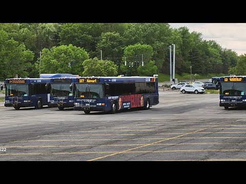 Cdta Greyhound trailways and Amtrak: bus and Train action in downtown albany NY S1EP31