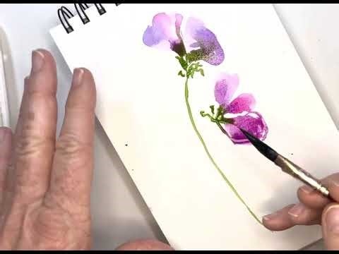 Beginner’s Step-by-Step Guide: Paint Watercolor Florals: Sweet Peas From Outline to Stunning Bouquet