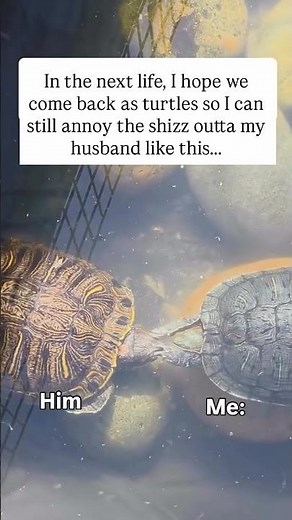 You feel this?! Make sure you share with him😁