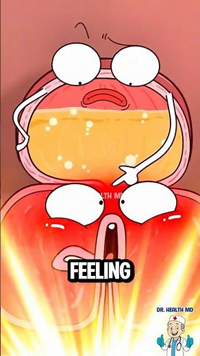The Hilarious Truth About Your Prostate #animation #prostate