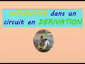 Intensité dans un circuit en dérivation
