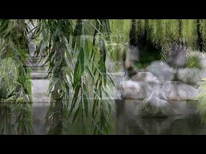 Change in Consciousness - Jagad Guru Chris Butler