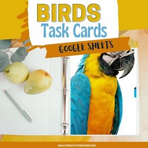 Birds Class Aves Digital and Print Task Cards