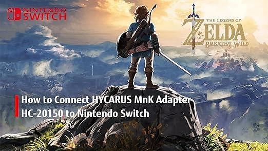 How to Connect HYCARUS Adapter (HC-20150) to Nintendo Switch