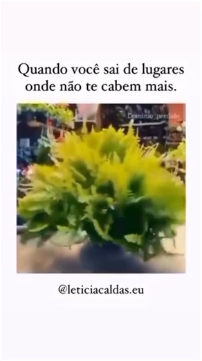 Letícia Caldas | Prosperidade Sistêmica on Instagram: "O ambiente onde você vive pode estar definindo até onde você vai. As pessoas ao seu redor, as conversas que você escuta, as referências que você segue… tudo isso molda o que você acredita ser possível. Às vezes, você não está travada — você só está cercada por limites que não são seus. E eu tenho um convite especial pra você: se você sente que precisa mudar de nível, expandir sua mente e sua vida, comenta AULA aqui 👇 que eu vou te mostrar p