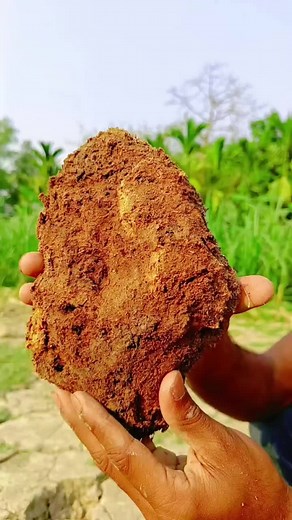 #camping #bushcraft #survival #outdoors #survival_bogura