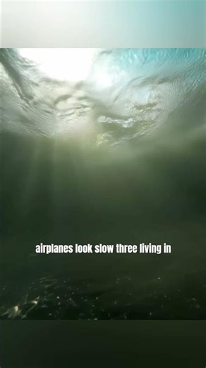 ​3 Mind-Blowing Technologies We Will Have by 2050 🤖🚀 #future #technology #2050