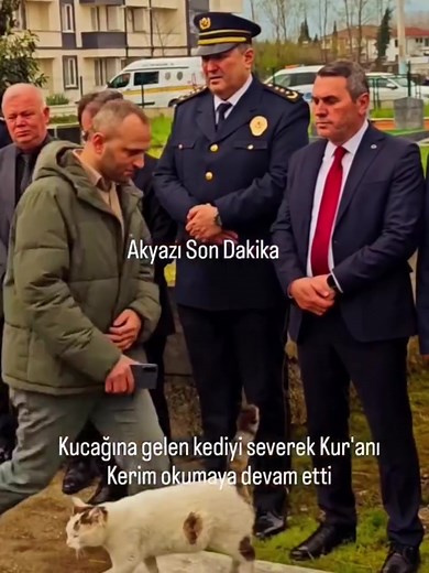Kuran-ı Kerim okuyan müftülük görevlisinin kucağına sığınan kedi 😊 [📹 akyazisondakika54]