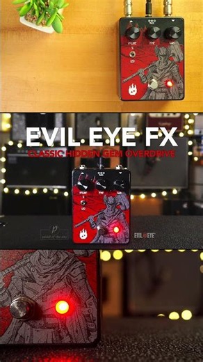 Evil Eye FX Paladin V2 Overdrive Distortion #guitarpedals #guitar #evileye #paladin #overdrive