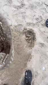 Directo completo de Tik Tok 01-09-2022 #metaldetecting #metaldetector #metaldetectingfinds #youtuber #tiktokers2022 #Entretenimiento #playa #beach ✅Sígueme en Youtube 👉🏻 https://youtube.com/c/DetecciónInfinita ✅Sígueme en Tik Tok 👉🏻 www.tiktok.com/@deteccion_infinita ✅Página web 👉🏻 deteccioninfinita.com ✅Patrocinador Eurodetection 👉🏻 https://eurodetection.com/ | Deteccion Infinita