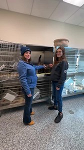 Live from cat relocation on MSPCA-Cape Cod! | MSPCA-Angell