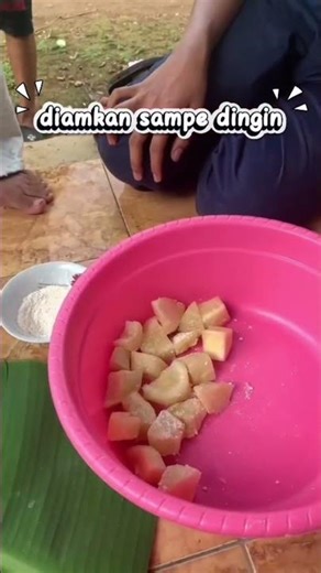 tugas ipa tutorial membuat tape singkong