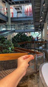 Enter a captivating realm at TDF's MagnifiScience Centre, where science blends education with boundless fun. Immerse yourself in a variety of mind-blowing exhibits that will astonish and ignite your curiosity, leaving you inspired for more! #MagnifiScience #TDF #Dawood #Foundation #Edutainment #Scienceisforeveryone #Karachi #Pakistan #Science #Innovation #Learning #Museum #Family #Fun | TDF MagnifiScience Centre