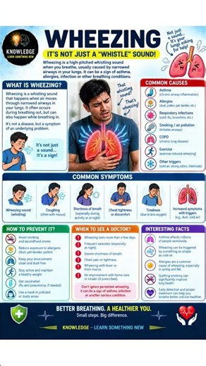 What is Wheezing? 😮‍💨 | Why Does Your Breathing Sound Like a Whistle? | Wheezing Causes & Symptoms