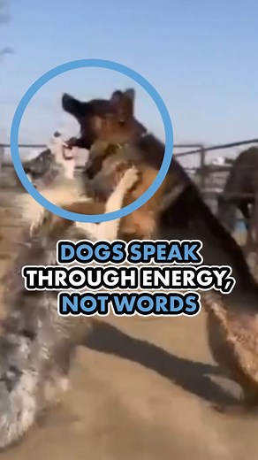 166K views · 7K reactions | I don't have any other context about this...