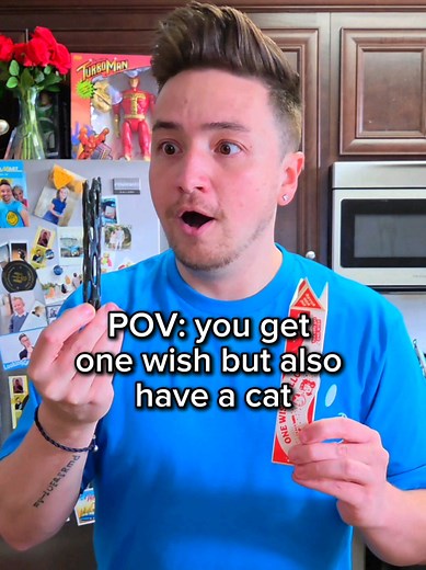 Funny Cat Fails Compilation: Catastrophic Moments Caught on Camera